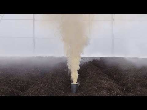Видео: СРОЧНО осенью обработать грунт и теплицы после сбора урожая томатов, если были болезни и вредители