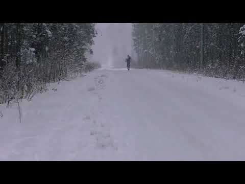 Видео: Почему зимой лучше ФэтБайк? А как же 29+?