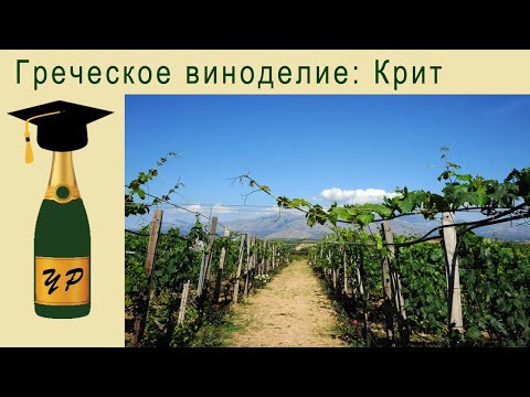 Видео: Греческое виноделие: Крит