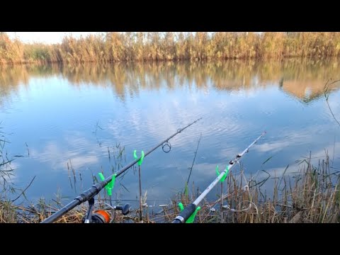 Видео: Рыбалка #иванатаман