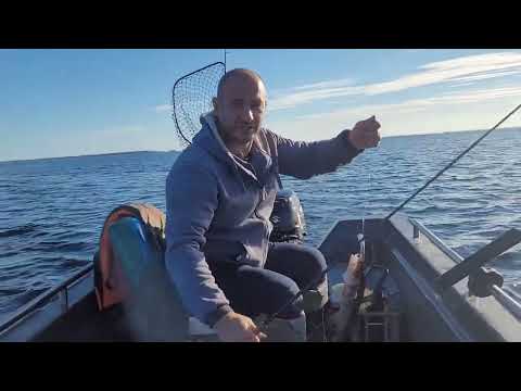 Видео: Карелия Выг озеро 2024😊                 1 серия