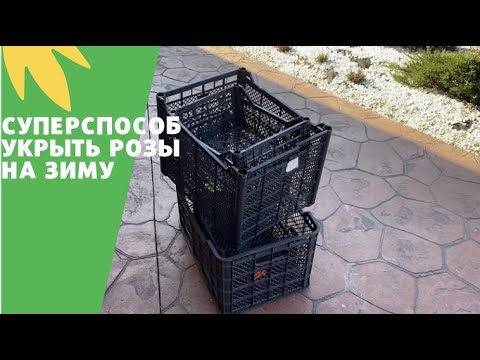 Видео: УКРЫВАЮ РОЗЫ БЫСТРО И ЭФФЕКТИВНО | ПРОСТЫЕ ОПОРЫ ДЛЯ ЗИМНЕГО УКРЫТИЯ