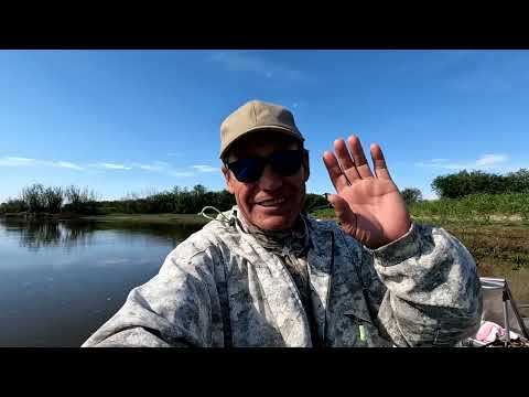 Видео: Это было что то невероятное! Попал в логово сомов!!!
