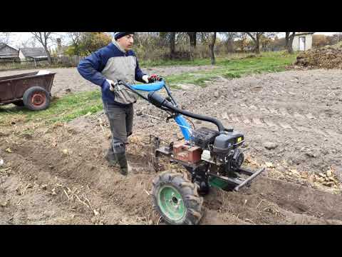 Видео: Посадка чеснока с помощью мотоблока ДТЗ