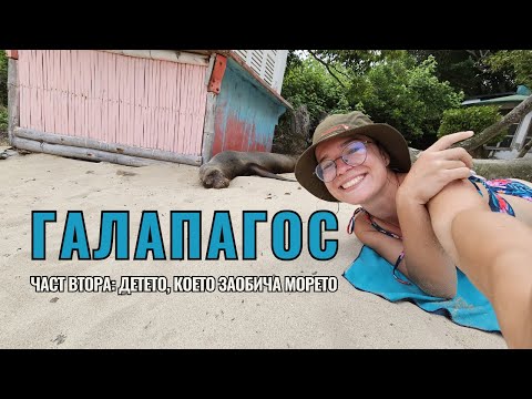 Видео: Галапагос (част втора): Детето, което заобича морето  | Видео №76 от Южна Америка
