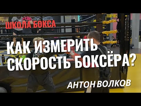 Видео: Как измерить скорость боксёра? Скоростные характеристики боксёра