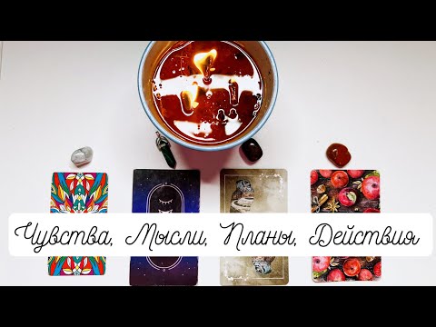 Видео: 4 КОРОЛЯ: Чувства, мысли, планы, действия 👩‍❤️‍💋‍👨 #картытаронаотношения