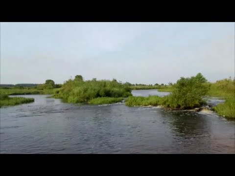 Видео: Рибалка на річці Вуж, місто Народичі, Житомирська область