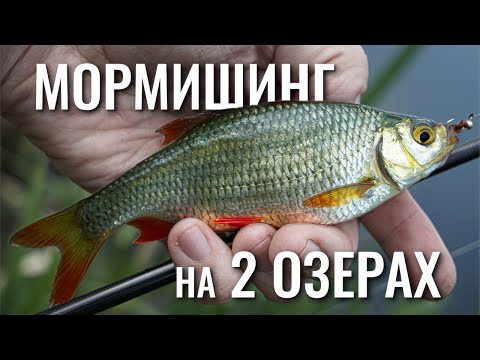 Видео: Мормишинг на двох озерах . Краснопірка плотва окунь