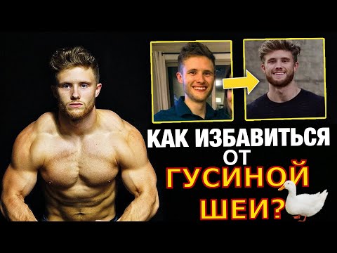 Видео: Как накачать огромную ШЕЮ и ТРАПЕЦИЮ? | Джефф Ниппард