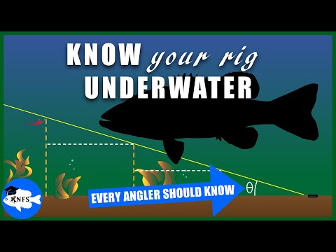 Видео: Оптимизация ловли на дроп-шот | Понимание высоты приманки под водой