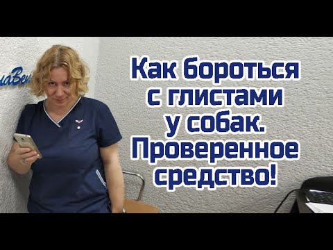 Видео: Глисты у собак и кошек. Как бороться с глистами.