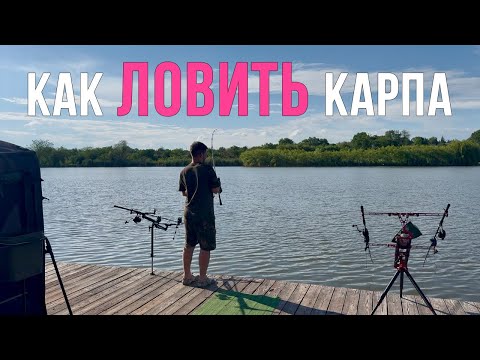 Видео: Соревнования. Поймали 110 рыб. Как ловить карпа? Карпфишинг 2025