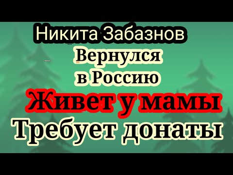 Видео: Забазнов.Живет у мамы,будет вить гнездышко