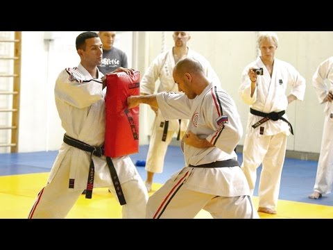 Видео: Реальный удар рукой в каратэ | Олег Эстон