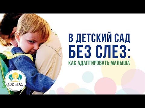 Видео: В садик без слёз: как адаптировать малыша