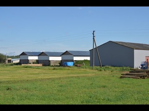 Видео: КФХ Александра Москвина два года спустя