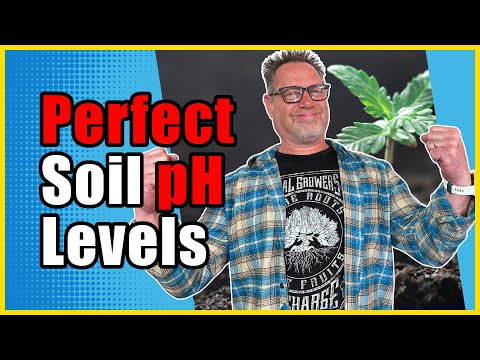 Видео: Перестаньте гоняться за уровнем pH в вашей почве и сделайте ЭТО вместо этого