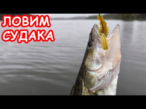 Видео: ЛОВЛЯ СУДАКА НА ДЖИГ. РЫБАЛКА НА СПИННИНГ