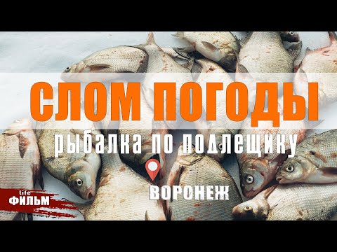 Видео: СЛОМ ПОГОДЫ, А РЫБА КЛЮЁТ! ВОРОНЕЖСКОЕ ВОДОХРАНИЛИЩЕ, РЫБАЛКА.