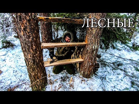 Видео: 7 ПРОСТЫХ СОВЕТОВ ДЛЯ ЛЕСА | 7 BUSHCRAFT TIPS