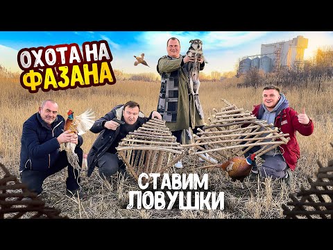 Видео: ОХОТА НА ФАЗАНА! ДЕЛАЕМ САМОДЕЛЬНЫЕ ЛОВУШКИ НА ФАЗАНА! СВАРИЛИ КРУТОЙ СУП В КАЗАНЕ!