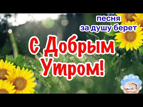 Видео: 💐С Добрым Утром!💐 Вот Это Песня! За Душу Берет! Послушайте!