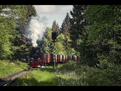 Видео: Harz (Гарц) Часть 2. Германия. Куда съездить и что посмотреть.