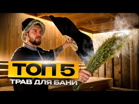 Видео: ТОП 5 трав для бани. Парение с ромашкой, зверобоем и другими.