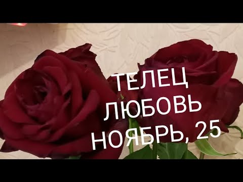 Видео: ТЕЛЕЦ ЛЮБОВЬ НОЯБРЬ 2025 года