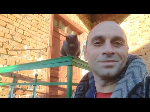 Видео: Наш новый дом:Уютный вечер,Планы на день 