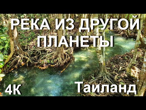 Видео: Река из другой планеты. Таиланд. 4к видео