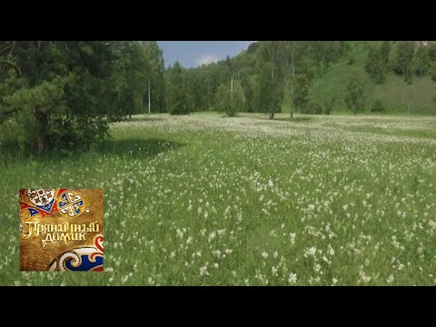 Видео: Пряничный домик. Татарский тюльпан / Телеканал Культура