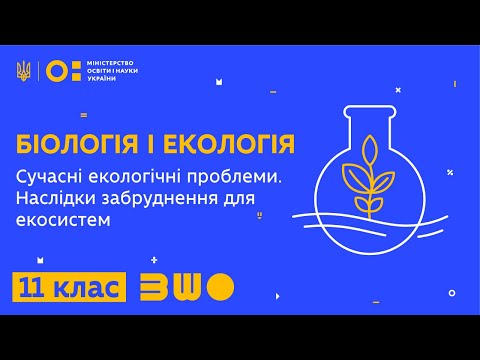 Видео: 11 клас. Біологія і екологія. Сучасні екологічні проблеми. Наслідки забруднення для екосистем