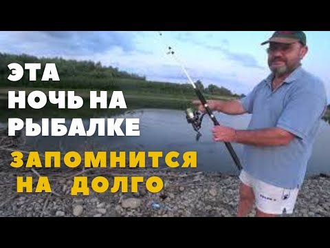 Видео: Завел снасти на сома и оставил на ночь, но такой трофей  не ожидал.