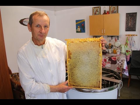 Видео: Откачка меда | Медогонка с электроприводом