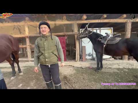 Видео: Төлөн аксакал неберелерине той берип, уулдары Марат, Курсант, Канат, Тыныбек, Кайрат балдары🔥🇰🇬