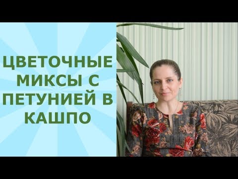 Видео: Цветочные миксы с петунией в кашпо