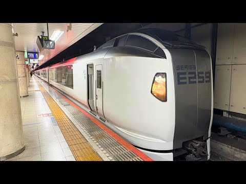 Видео: Из Токио в аэропорт Нарита | Удобный транспорт | NARITA EXPRESS