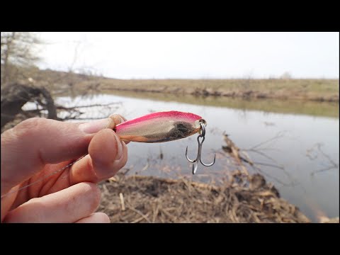 Видео: Поставил КОЛЕБАЛКУ И ТУТ НАЧАЛОСЬ!!! Рыбалка со спиннингом на блесну!