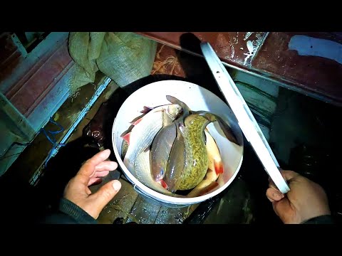 Видео: ЭТА РЕКА БОГАТА РЫБОЙ \ ЕСТЬ И ЯЗЬ И ХАРИУС И НАЛИМ \ НОЧНАЯ ПРОВЕРКА \ 21.05.23