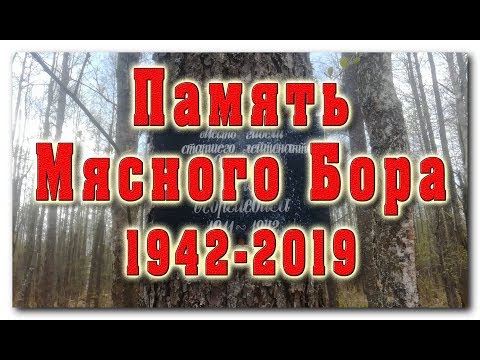Видео: Карбусель-2019, часть 5. Память Мясного Бора.