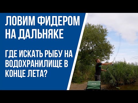 Видео: Как ловить  фидером на водохранилище на дальней дистанции. Лещ и плотва