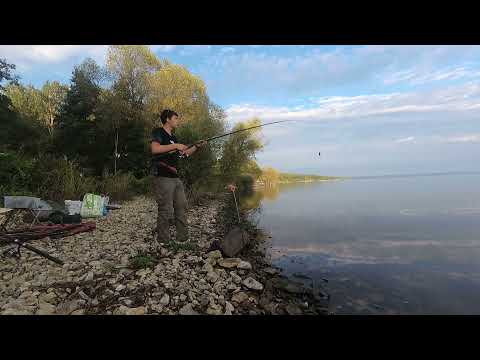 Видео: Рыба сама лезет в подсак! Рыбалка на ДОНКИ на СУРСКОМ ВОДОХРАНИЛИЩЕ на ЛЕЩА.