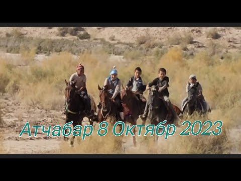 Видео: 8 октября 2023 г.Каракалпакистан. Елликкала. Атчабар.