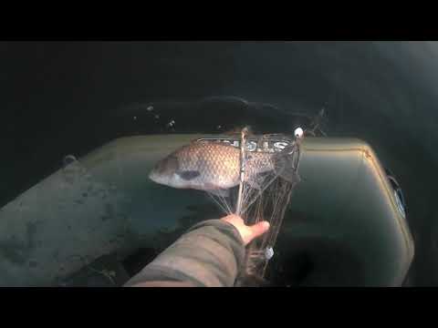 Видео: сеть 70-ка радует каждый день