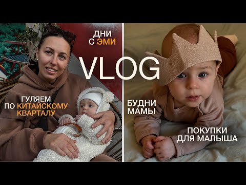 Видео: VLOG: БУДНИ МАМЫ В АРГЕНТИНЕ! Гуляем по китайскому кварталу, дни с малышкой