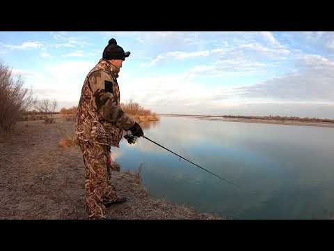 Видео: Ловля ЖЕРЕХА на реке ИЛИ , осенью! На спиннинг с берега с ночёвкой.