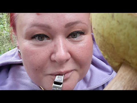 Видео: Как за грибами ездили ...сезон открыт!