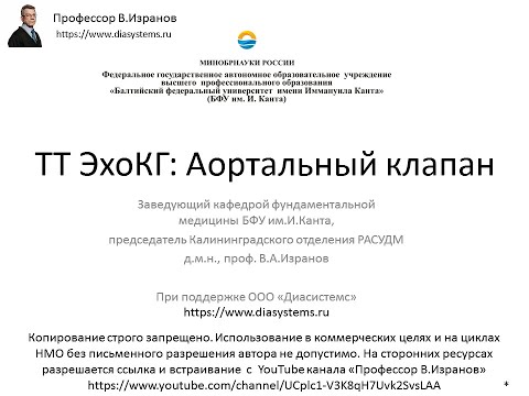 Видео: Основы ЭхоКГ: исследование аортального клапана.